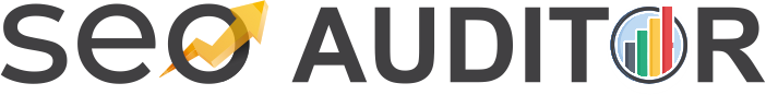 AUDITOR SEO